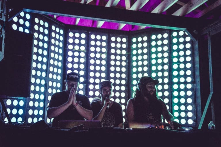 Photo du festival Future Forest 2018