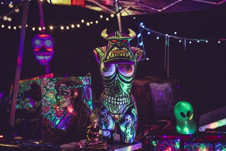Photo du festival Future Forest 2018