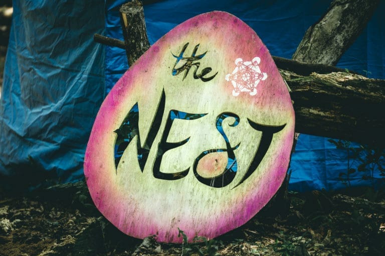 Photo du festival Future Forest 2018