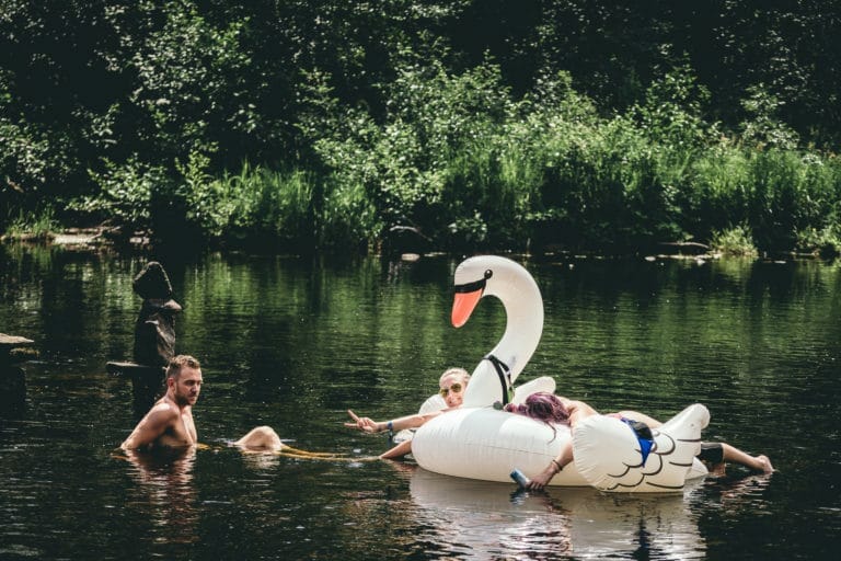 Photo du festival Future Forest 2018