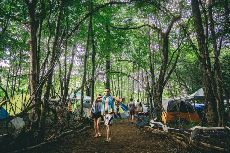 Photo du festival Future Forest 2018