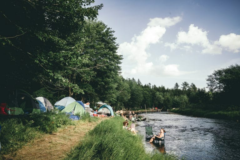 Photo du festival Future Forest 2018