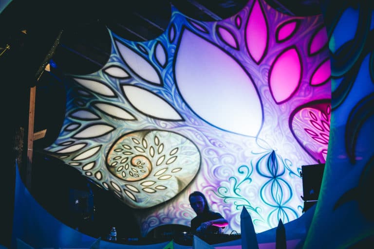 Photo du festival Future Forest 2018