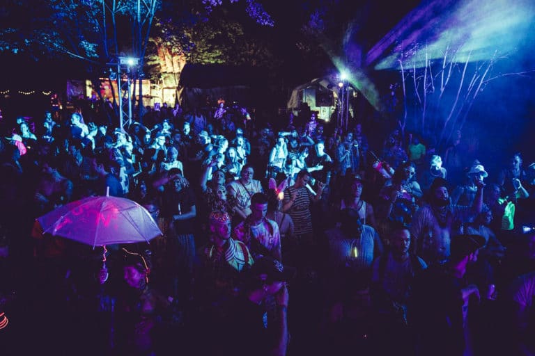 Photo du festival Future Forest 2018