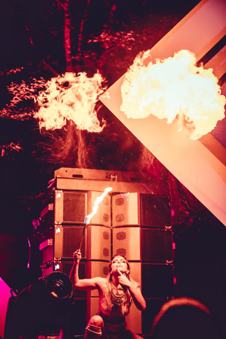 Photo du festival Future Forest 2018