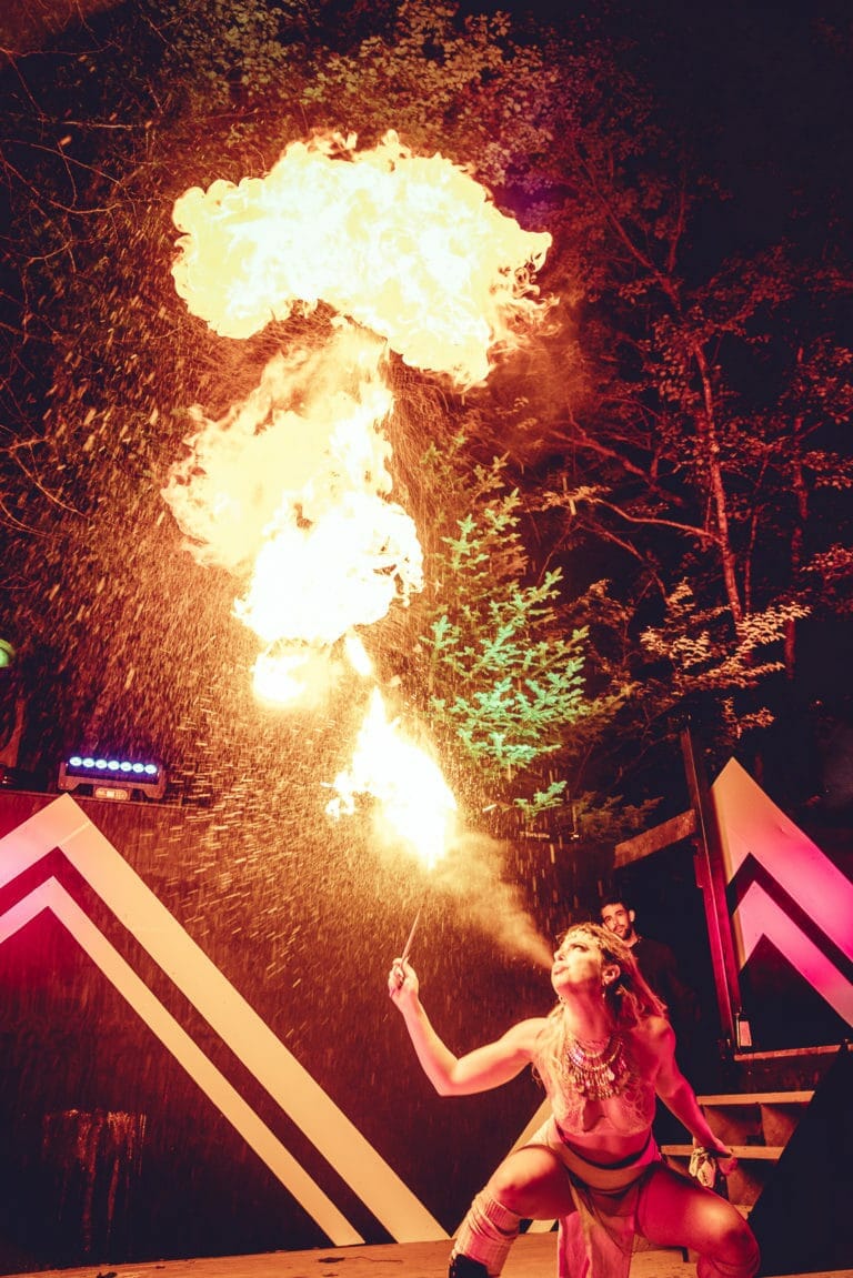 Photo du festival Future Forest 2018