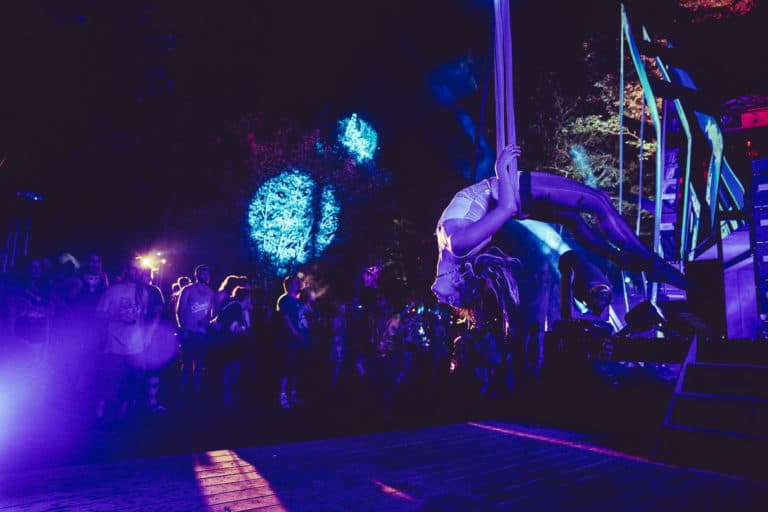 Photo du festival Future Forest 2018