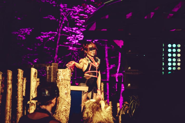 Photo du festival Future Forest 2018