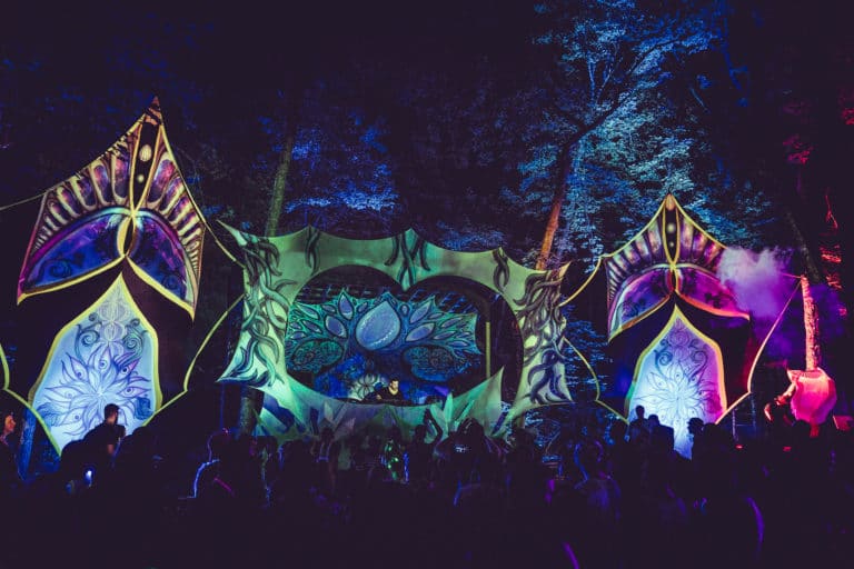 Photo du festival Future Forest 2018