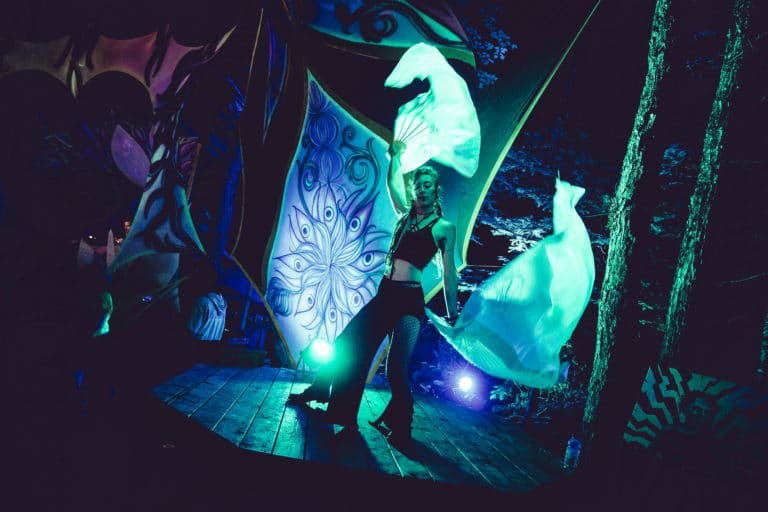 Photo du festival Future Forest 2018