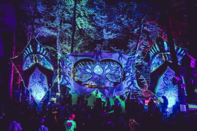 Photo du festival Future Forest 2018