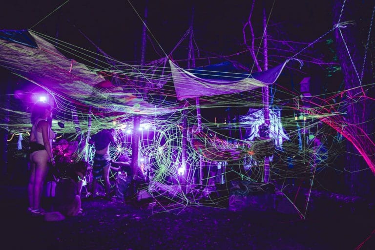 Photo du festival Future Forest 2018
