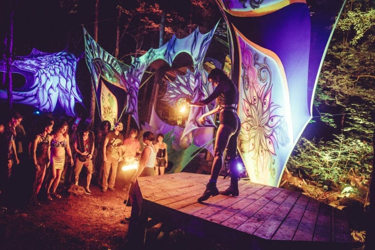 Photo du festival Future Forest 2018
