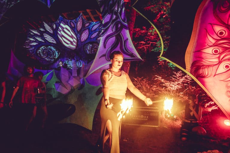 Photo du festival Future Forest 2018