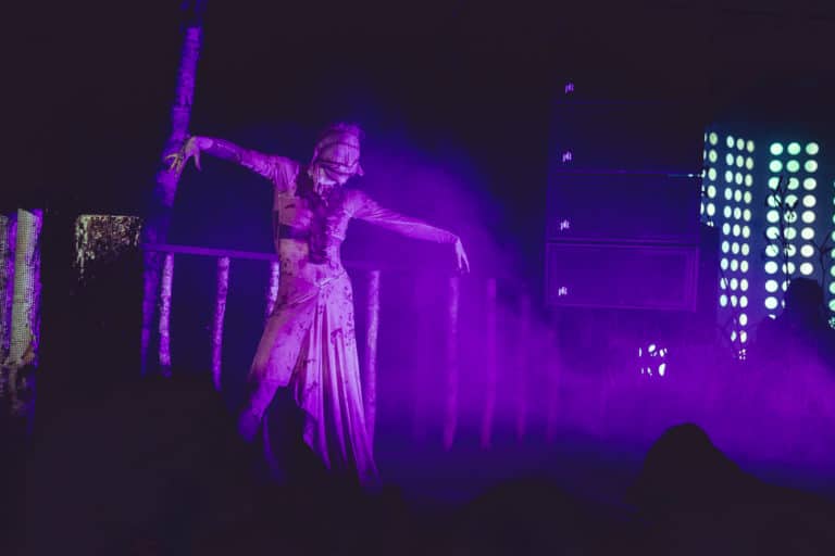 Photo du festival Future Forest 2018