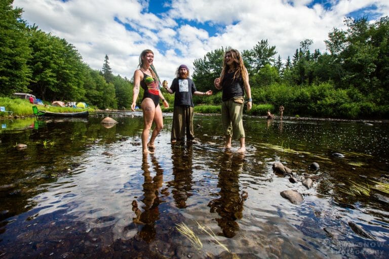 Photo du festival Future Forest 2017