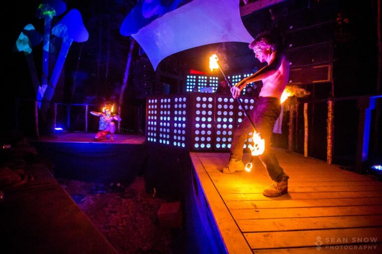 Photo du festival Future Forest 2017
