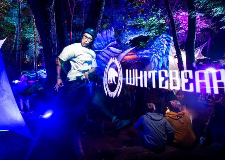 Photo du festival Future Forest 2017