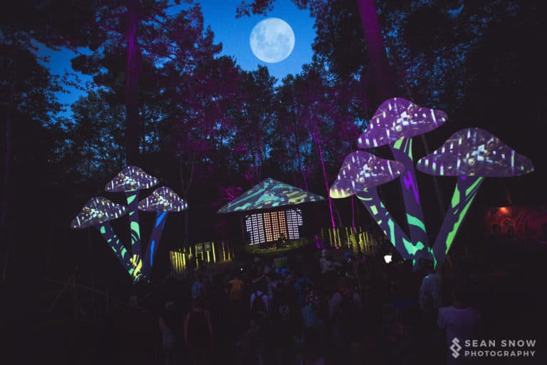 Photo du festival Future Forest 2018