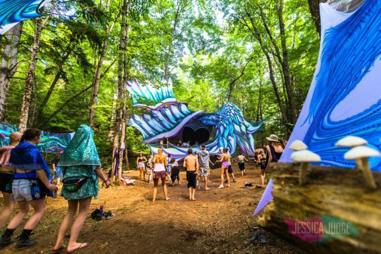 Photo du festival Future Forest 2017