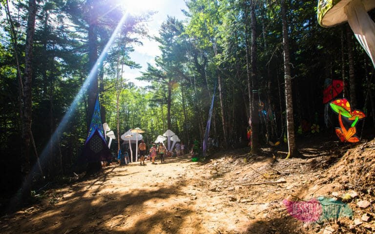 Photo du festival Future Forest 2017