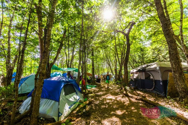Photo du festival Future Forest 2017