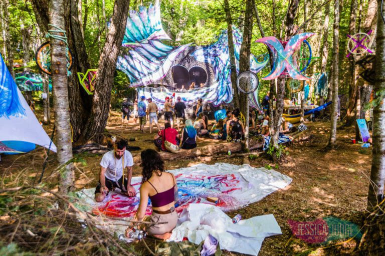 Photo du festival Future Forest 2017