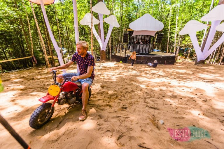 Photo du festival Future Forest 2017