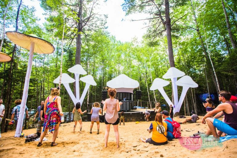 Photo du festival Future Forest 2017