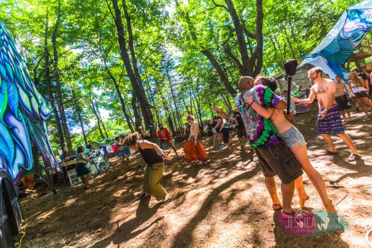 Photo du festival Future Forest 2017
