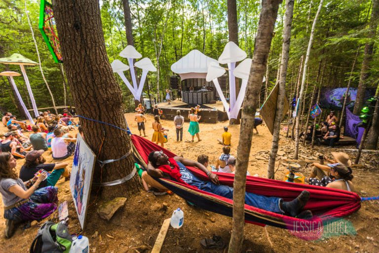 Photo du festival Future Forest 2017