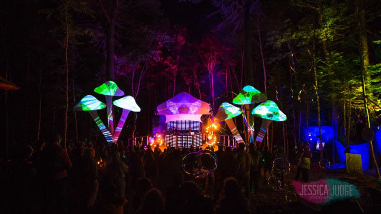 Photo du festival Future Forest 2017