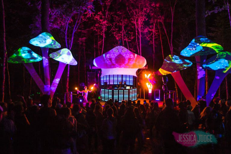 Photo du festival Future Forest 2017