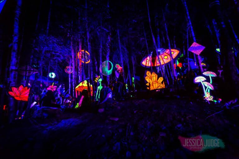 Photo du festival Future Forest 2017