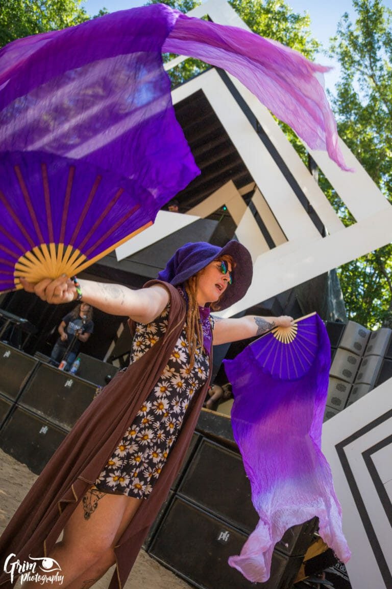 Photo du festival Future Forest 2017
