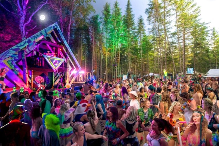 Photo du festival Future Forest 2016