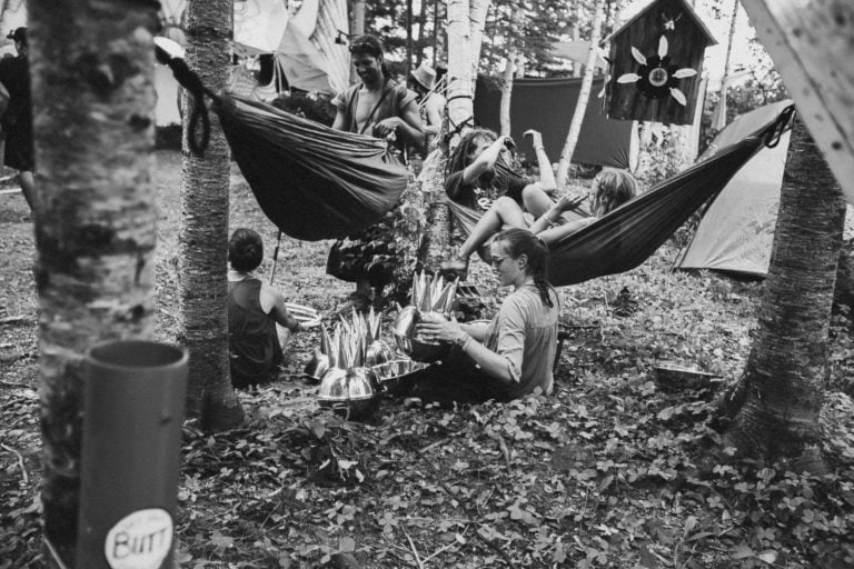 Photo du festival Future Forest 2016
