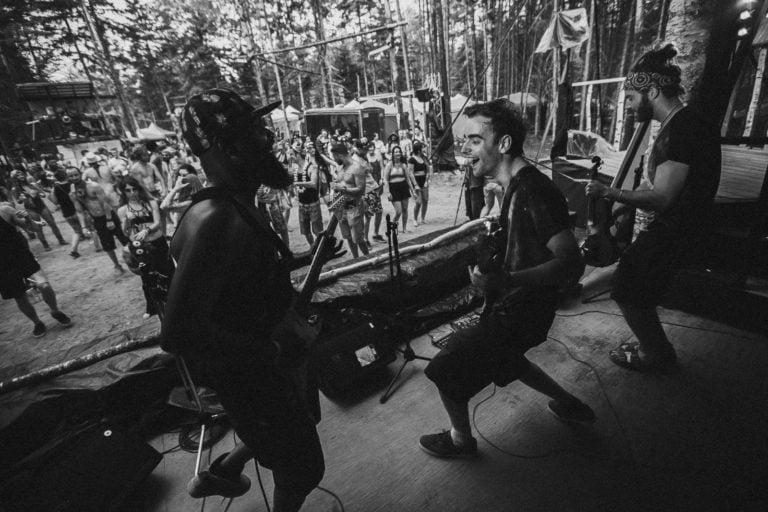 Photo du festival Future Forest 2016