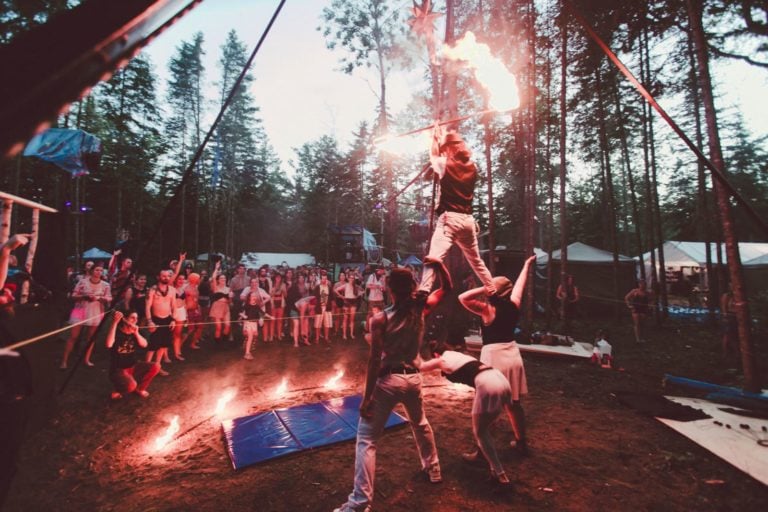 Photo du festival Future Forest 2016