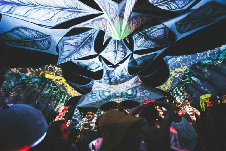 Photo du festival Future Forest 2016