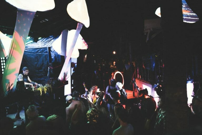 Photo du festival Future Forest 2016