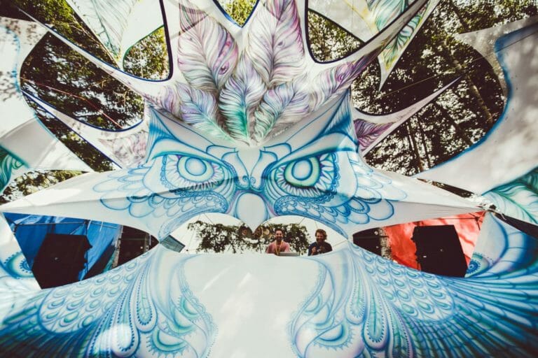 Photo du festival Future Forest 2016
