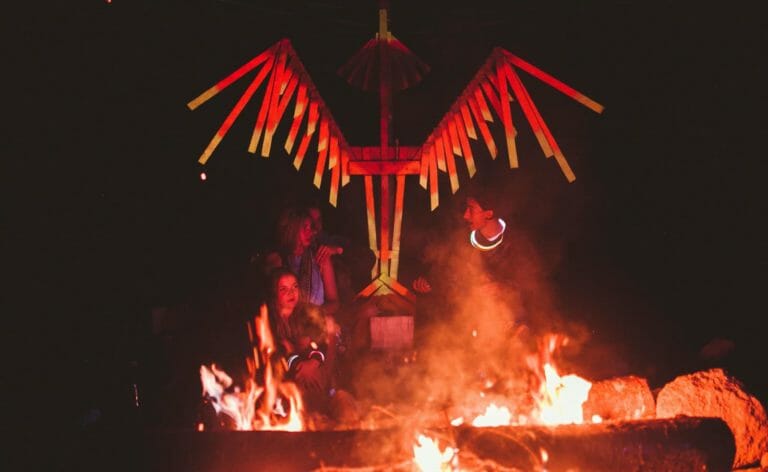 Photo du festival Future Forest 2016
