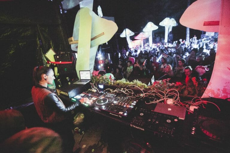 Photo du festival Future Forest 2016