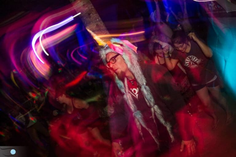 Photo du festival Future Forest 2016