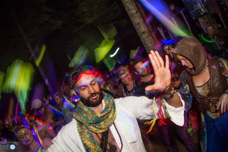 Photo du festival Future Forest 2016