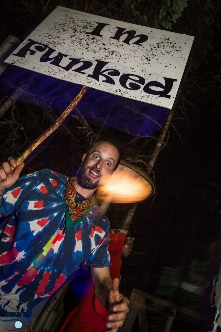 Photo du festival Future Forest 2016
