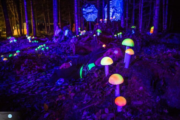 Photo du festival Future Forest 2016