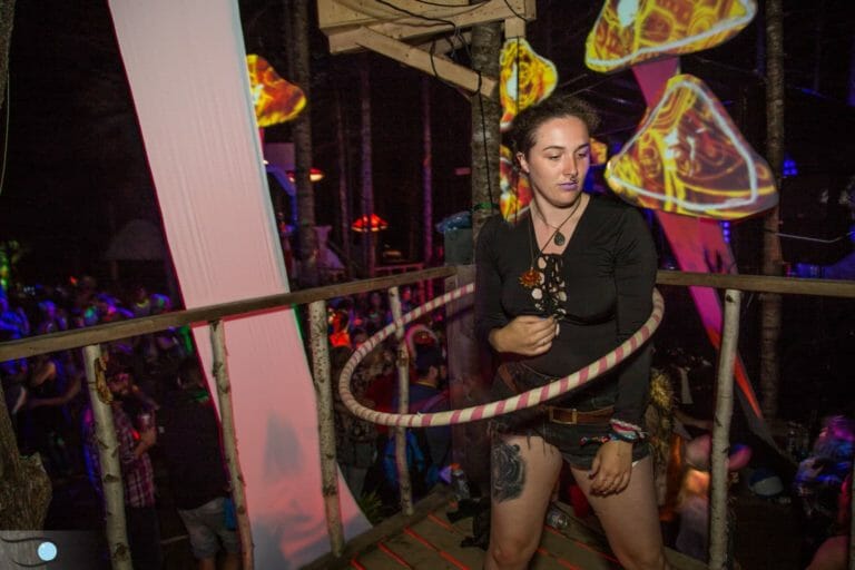 Photo du festival Future Forest 2016