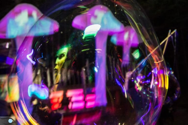 Photo du festival Future Forest 2016
